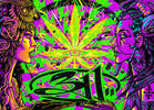 311's Pot Leaf Fillmore Poster