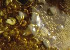 High on Fire: Making Butane Hash Oi
