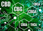 New Study Says Cannabinoids in Hemp Can Block Covid Transmission