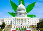 House of Reps Schedules MORE Act Marijuana Decrim Vote