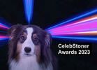 Year in Review: 40 CelebStoner Awards for 2023