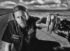 2014 Fall Stoner TV Guide