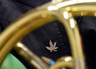 High Tunes: Classical Grass Concert in Denver