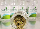 Curaleaf Busted for Selling Ground Flower at New York Dispensaries