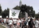 DC Bans Pot Clubs, Activists Threaten Protest