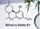 Cannabinoid Alert: What's the Deal with Delta-8 THC?