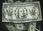 Venture Capitalists Giving Weed the Green Light