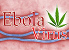 Marijuana and Ebola: Experts Weigh In
