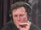 Tesla's Elon Musk Gets Blunted with Joe Rogan
