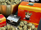 Thank God It's Fryday: Ice Cube Launches Cannabis Brand
