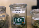 Colorado Maverick Challenges Pot Taxes