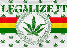 Voters Make it Clear They Want Marijuana Legalized