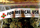 ASA Notes Decline in Medical-Cannabis Programs in Latest States Report