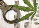 Marijuana Arrests in U.S. Continue to Decline (2012)
