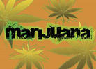 What's Your Favorite Name for Marijuana?