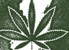Four More States Vote to Legalize Marijuana on 2020 Election Day