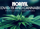 Drug Reform Orgs Call for No Marijuana Arrests During Coronavirus Outbreak