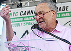 The End of Cannabis Parade? New York City Drops the Ball