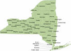 New York's Five Medical Marijuana Licensees