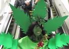 Nellie McKay – 'Weed (All I Want for Christmas)'