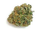 Veganic Girl Scout Cookies Wins U.S. Cannabis Cup