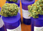 Study Says Pot's Good for Pain