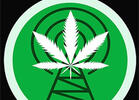 The Top 35 Cannabis Podcasts from A-Z