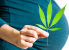 CBD During Pregnancy: Is it Safe to Use?