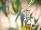CBD and THC: What You Need to Know