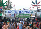 CelebStoner's 2014 Summer Festival Guide