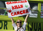 Stacey Theis and Her Magic Cannabus