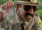 Mass. Supreme Court Rules Against Marijuana Searches