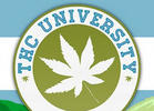 The 48 Coolest Colleges