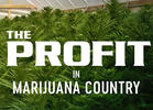 TV Review: CNBC's 'The Profit in Marijuana Country'