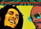 The Top 42 Celebrity Cannabis Brands of 2023