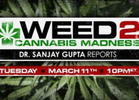 2014 Winter Stoner TV Guide